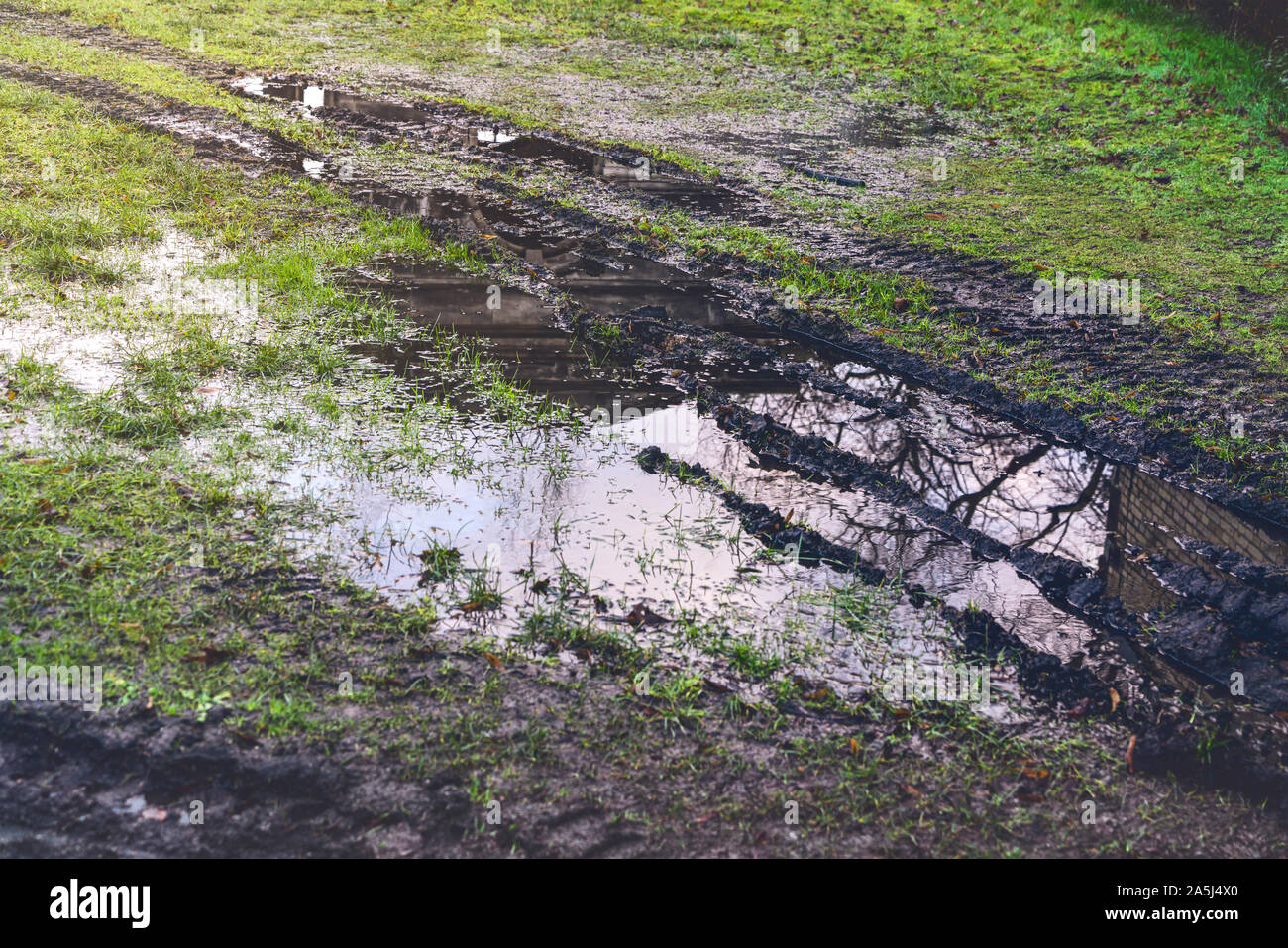 Una pozzanghera su un prato con tracce di pneumatici Foto Stock