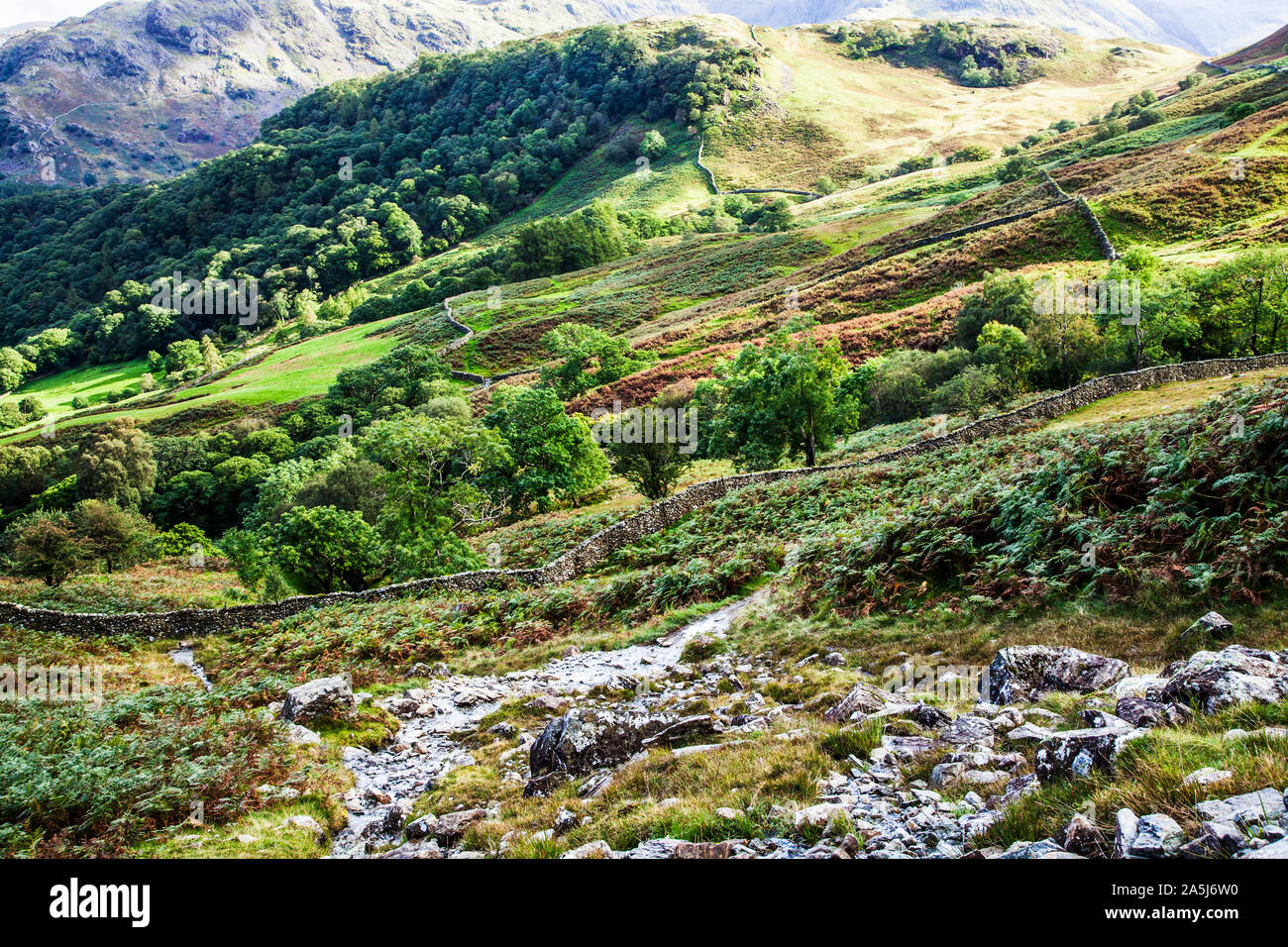 Vista di Borrowdale nel Parco Nazionale del Distretto dei Laghi, Cumbria. Foto Stock