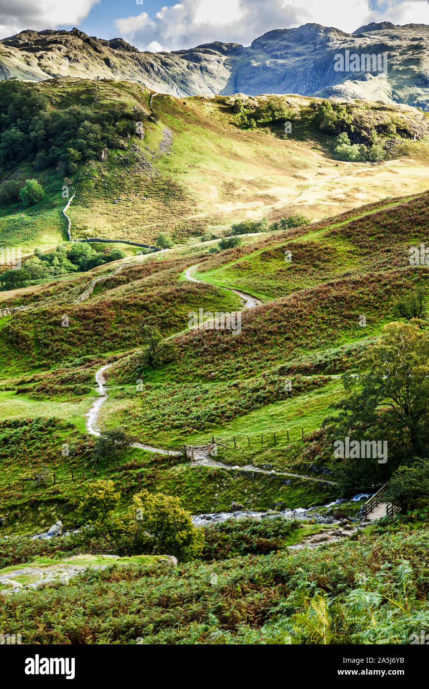 Vista di Borrowdale nel Parco Nazionale del Distretto dei Laghi, Cumbria. Foto Stock