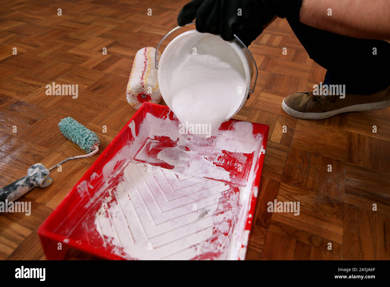 Operaio edile finitura facendo lavori di rinnovo nell'appartamento. Pittore con guanti neri si riversa il colore bianco dalla benna nella vaschetta di colore rosso per la miscelazione della vernice. Foto Stock