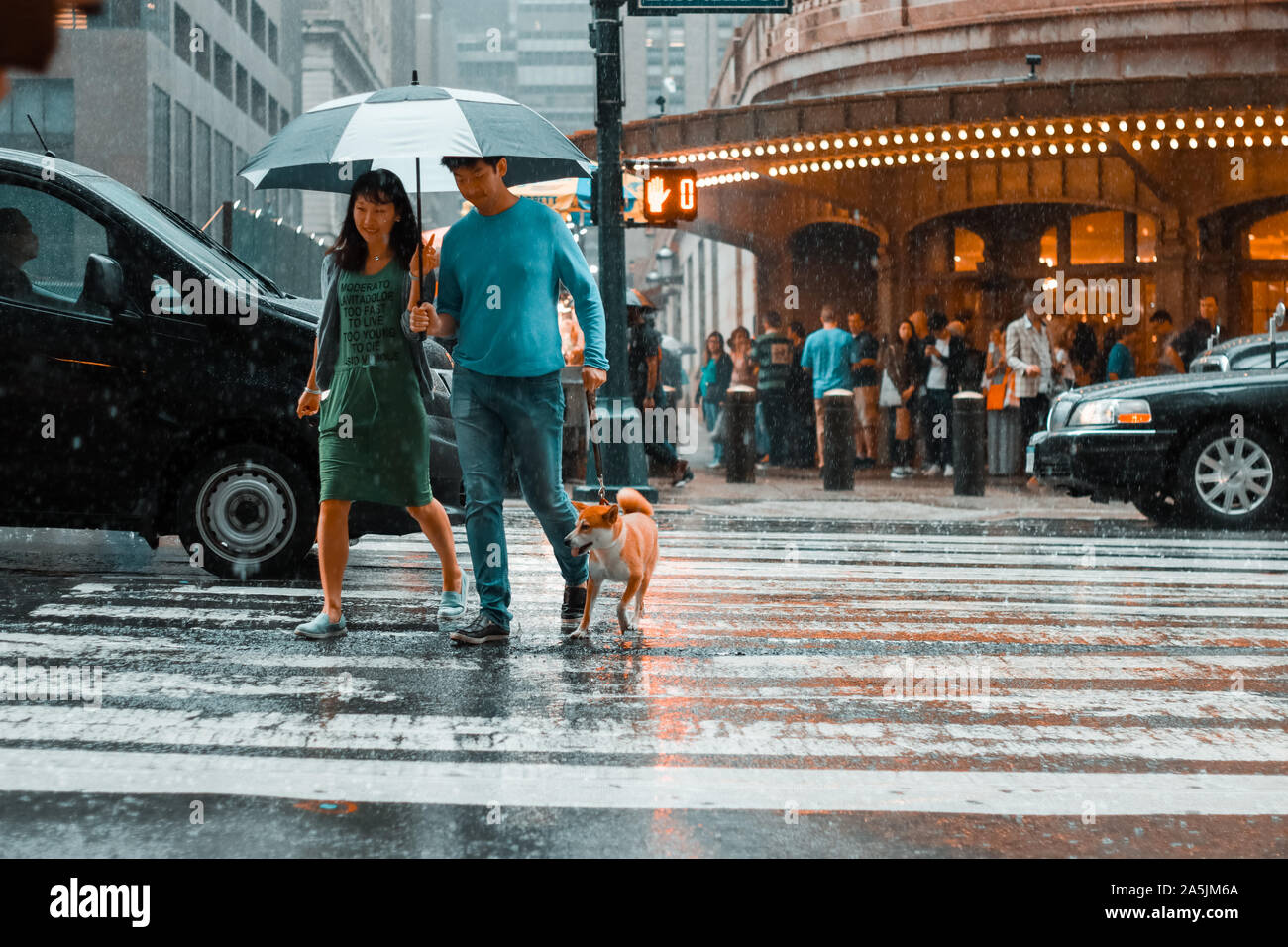 New York, Stati Uniti d'America - 17 Giugno 2017: una giovane coppia con un ombrello e un cane passando attraverso la strada del centro occupato in una piovosa giornata burrascosa. Foto Stock