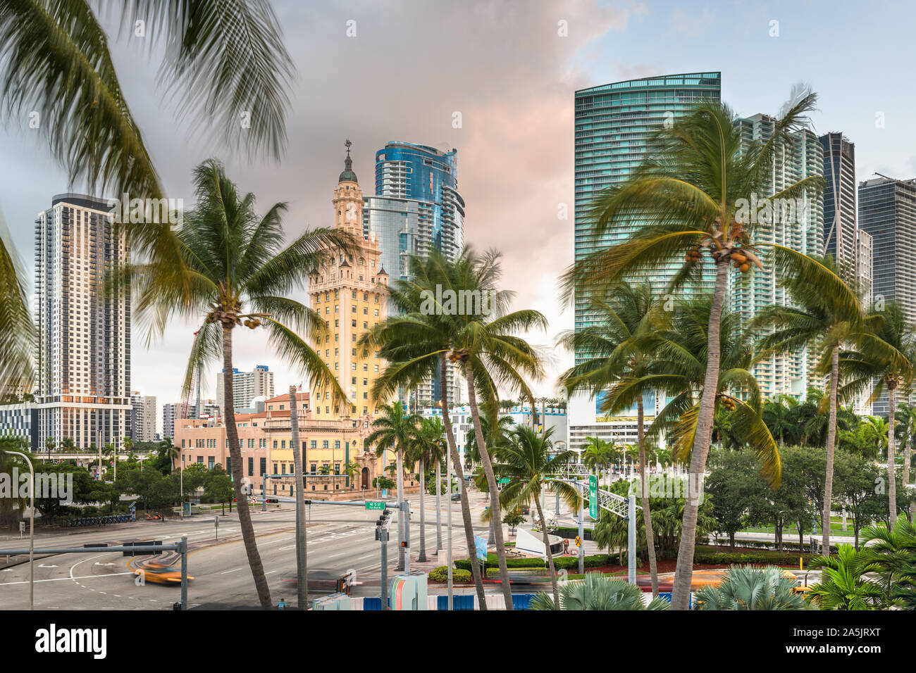 Miami, Florida, Stati Uniti d'America cityscape di mattina con palme. Foto Stock