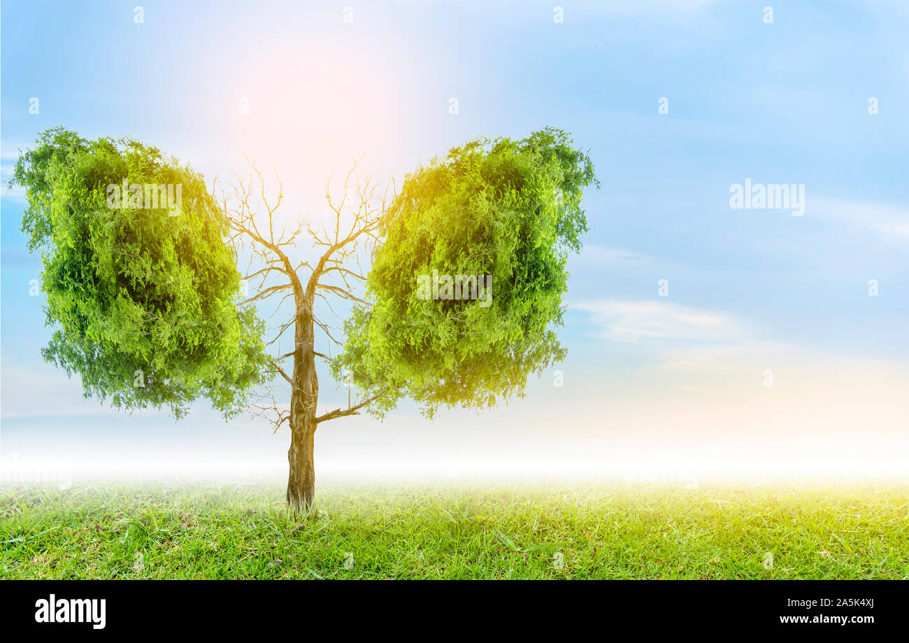 Polmone verde a forma di albero di immagini, concetti medici, autopsia, visualizzazione 3D e animali come un elemento Foto Stock