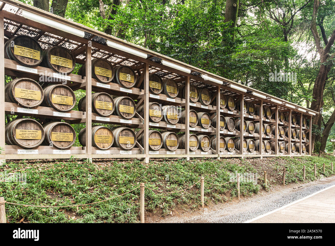 Tokyo, Giappone, Asia - 25 Agosto 2019 : botti da vino presso il Tempio di Meiji in Shibuya Foto Stock