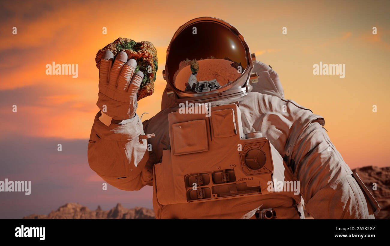 La vita sul pianeta Marte, astronauta scopre marziani minuscola all'interno di una roccia Foto Stock