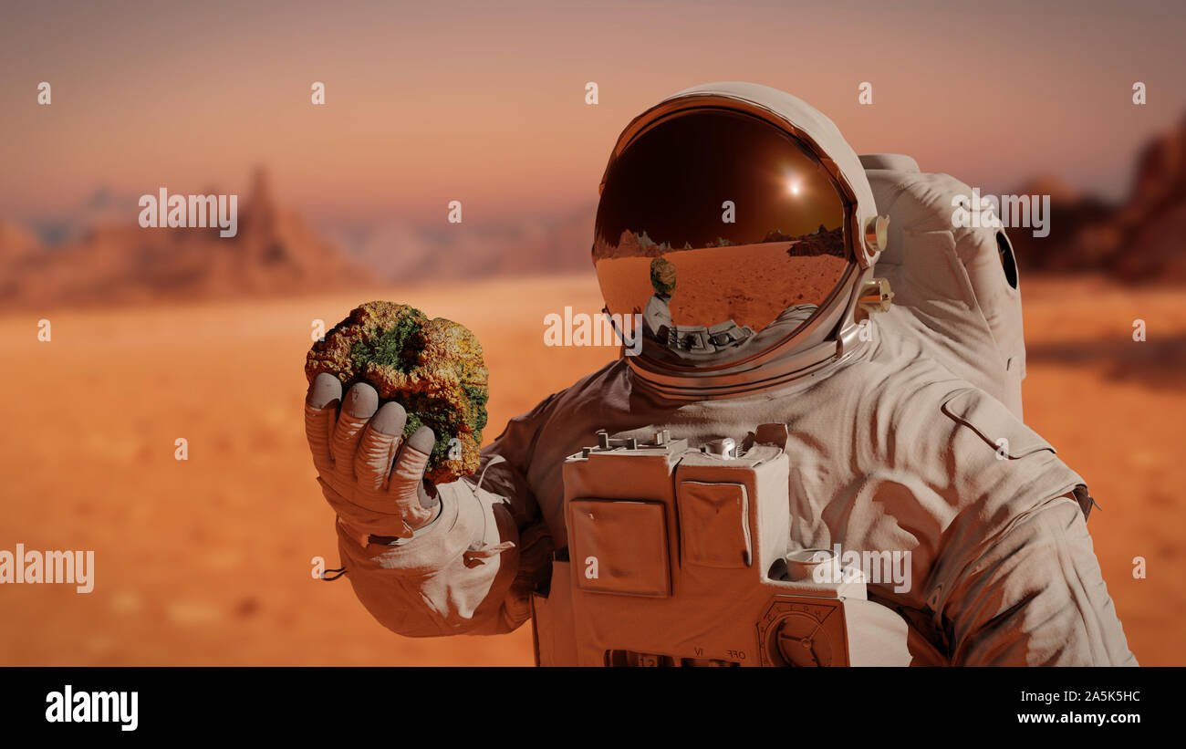 La vita sul pianeta Marte, astronauta scopre il piccolo i marziani Foto Stock