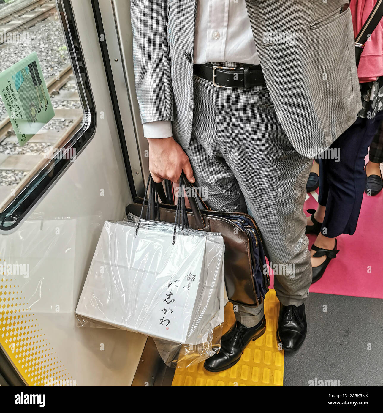 RAIN COVER TOKYO Foto Stock