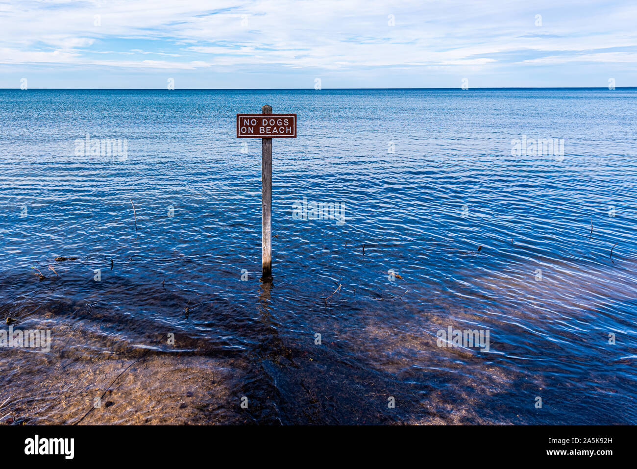 No cani sulla spiaggia sign ora in acqua a causa degli elevati livelli di lago nel lago Michigan. Punto di Waugoshance, Michigan. Foto Stock