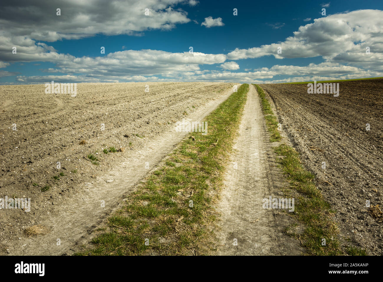 Strada rurale e di campi arati, orizzonte e nuvole nel cielo Foto Stock