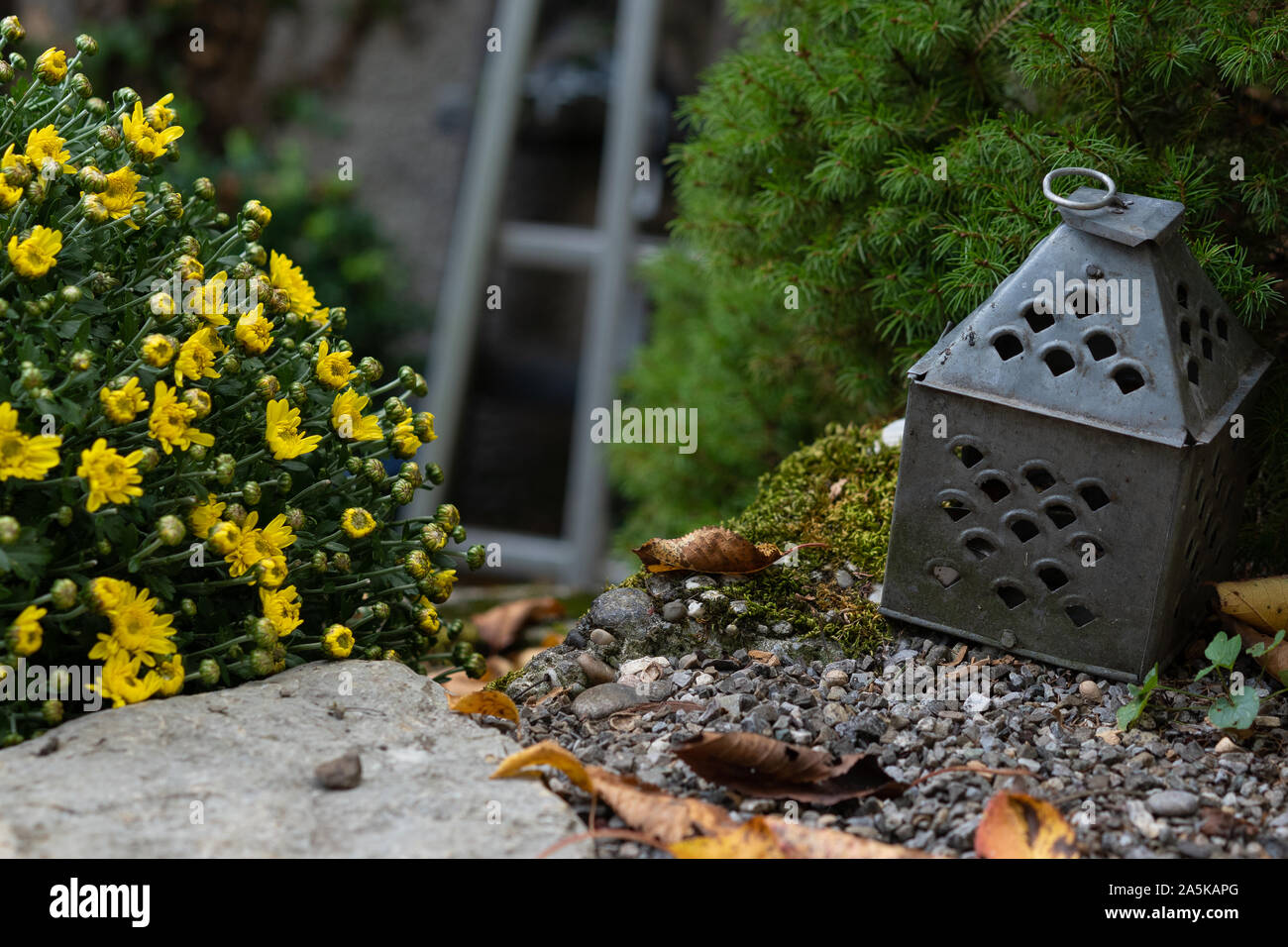 Lanterna di stagno sulla ghiaia con rustici giallo bouquet di fiori e foglie di autunno e la scala metallica in sfondo sfocato. Close-up e ad alto angolo di visione. Foto Stock