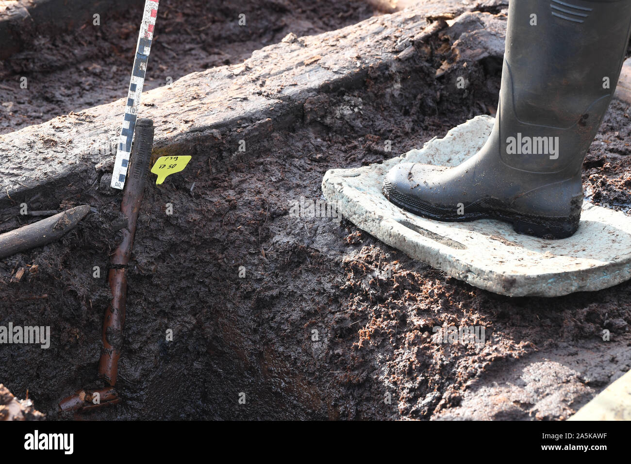 Diepholz, Germania. Xxi oct, 2019. Marion Heumüller, consulente per il bog archeologia, punti a un asta di misurazione con un bastone di misura. Il bastone di misura è il più antico bastone di misura mai trovata in Bassa Sassonia. Per più di 6000 anni, le persone hanno costruito i percorsi in legno e strade da attraversare una volta estese brughiere. Come una delle più lunghe passerelle in tutto il mondo, lungo 4 km boardwalk Pr 6 attraversato il moro tra Diepholz e Lohne oltre 2000 anni fa. Credito: Carmen Jaspersen/dpa/Alamy Live News Foto Stock