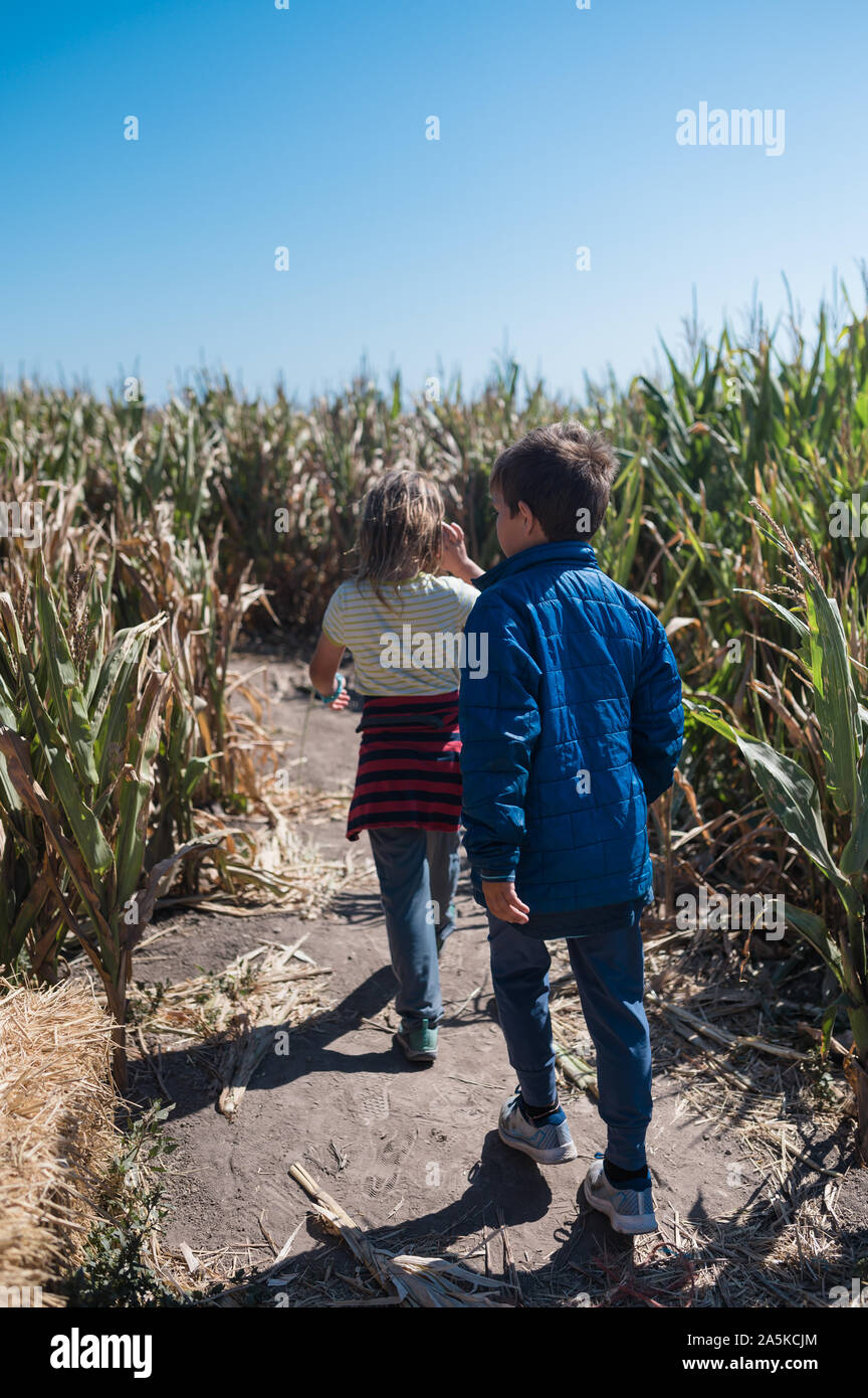 Due giovani figli in un labirinto di mais con cielo blu Foto Stock