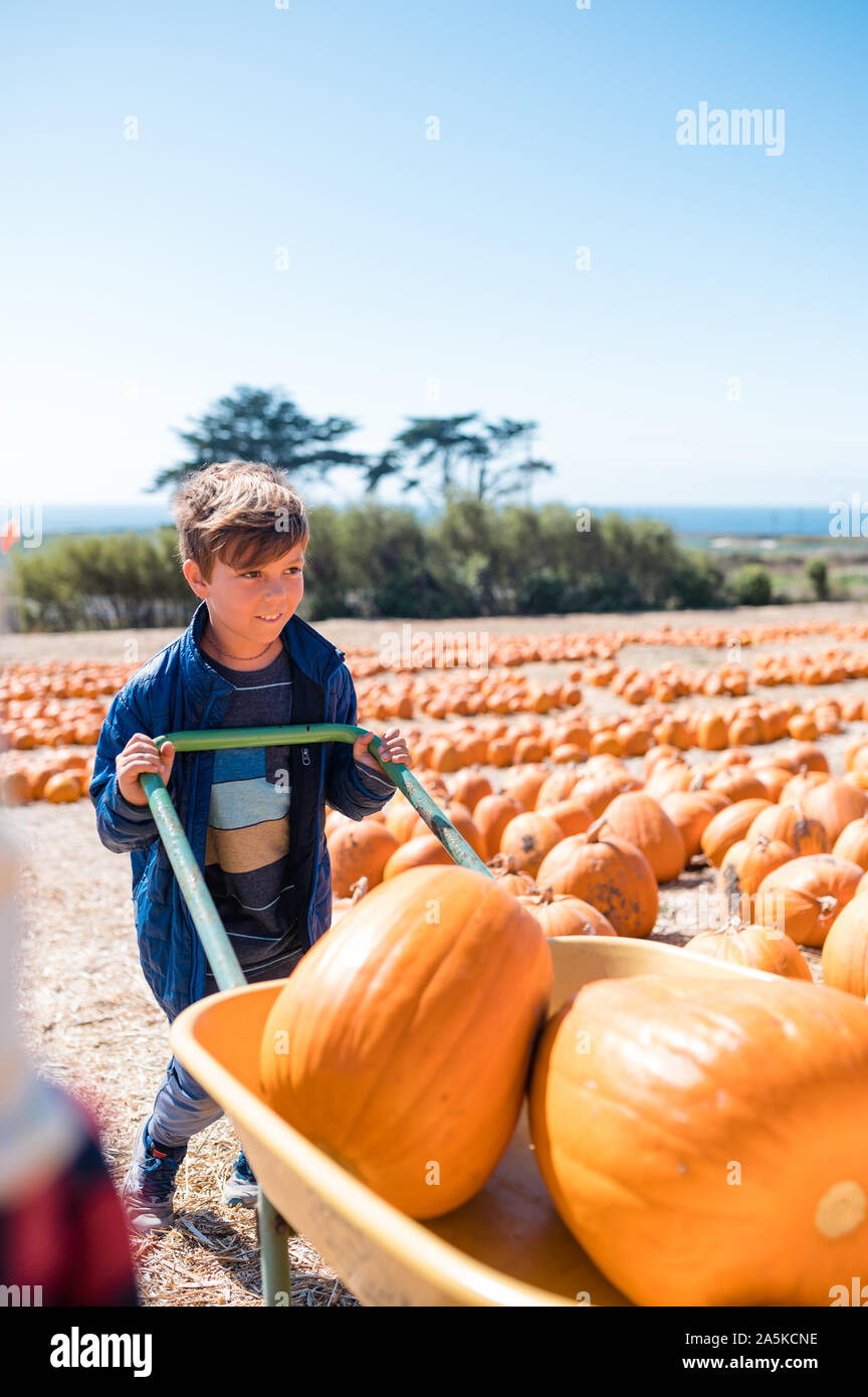 Ragazzo che sorride con grande varietà di zucche nella ruota di barrow in zucca patch Foto Stock