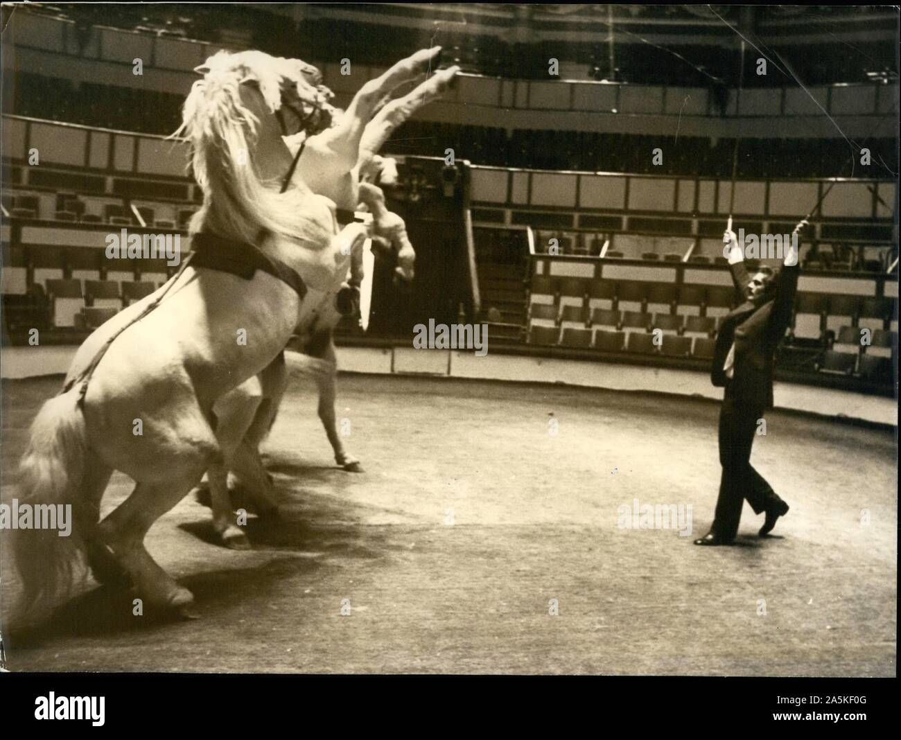 Apr 20, 1971 - Parigi, Francia - attore Omar Sharif rende i cavalli in ballo durante una prova di una performance dell'artista Gala dell'Unione. (Credito Immagine: © Keystone Pictures USA/ZUMAPRESS.com) Foto Stock