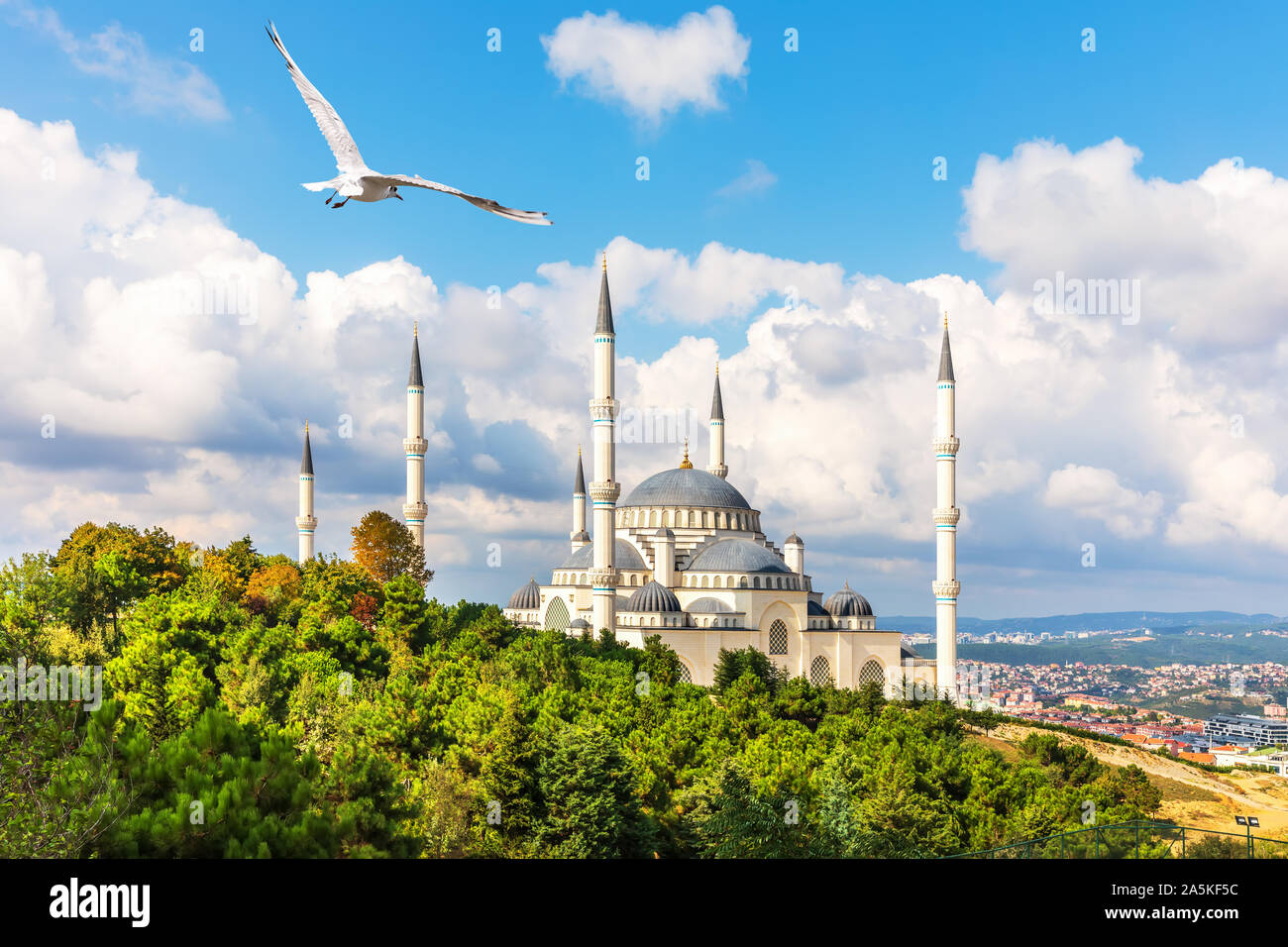 Bella Moschea Camlica, vista laterale, Istanbul, Turchia Foto Stock