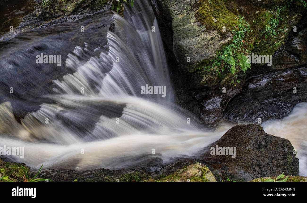 Masterizzazione Cordorcan cascate in legno della Cree Riserva Naturale, Newton Stewart, Dumfries and Galloway, Scozia Foto Stock