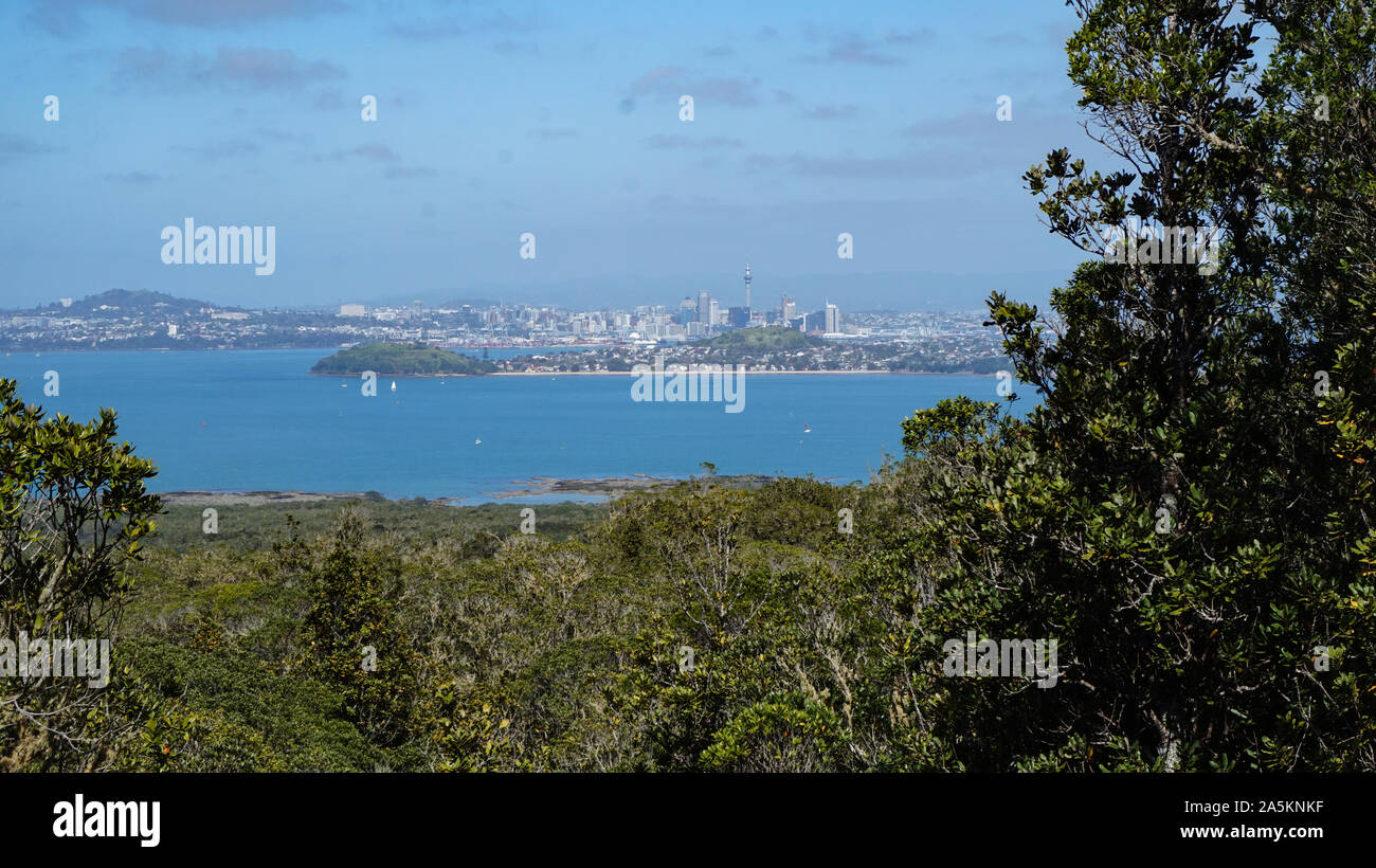 Rangitoto Island (Riserva Paesaggistica) vicino Auckland in Nuova Zelanda Foto Stock