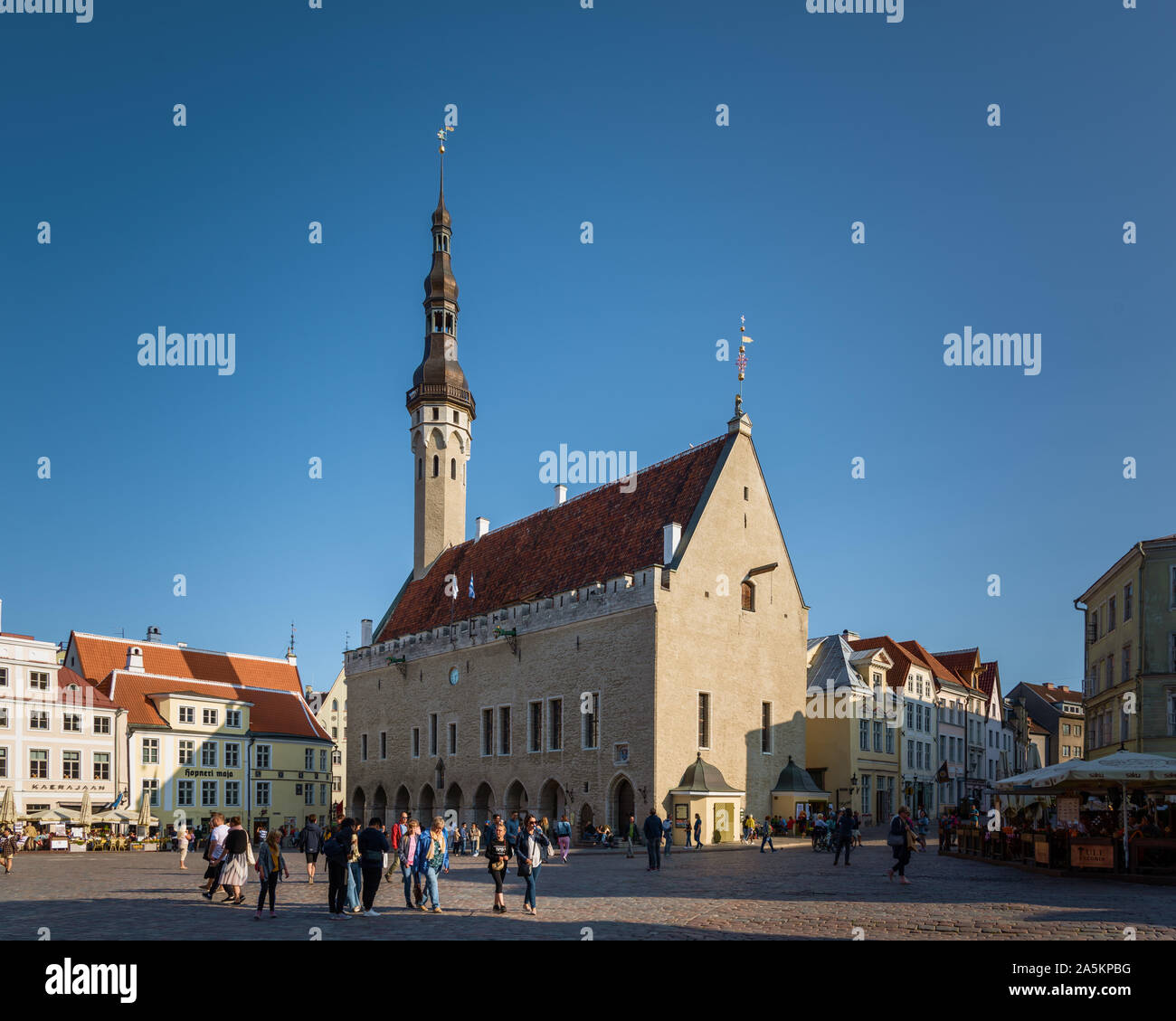 Il municipio di Raekoja plats, Tallinn, Estonia Foto Stock