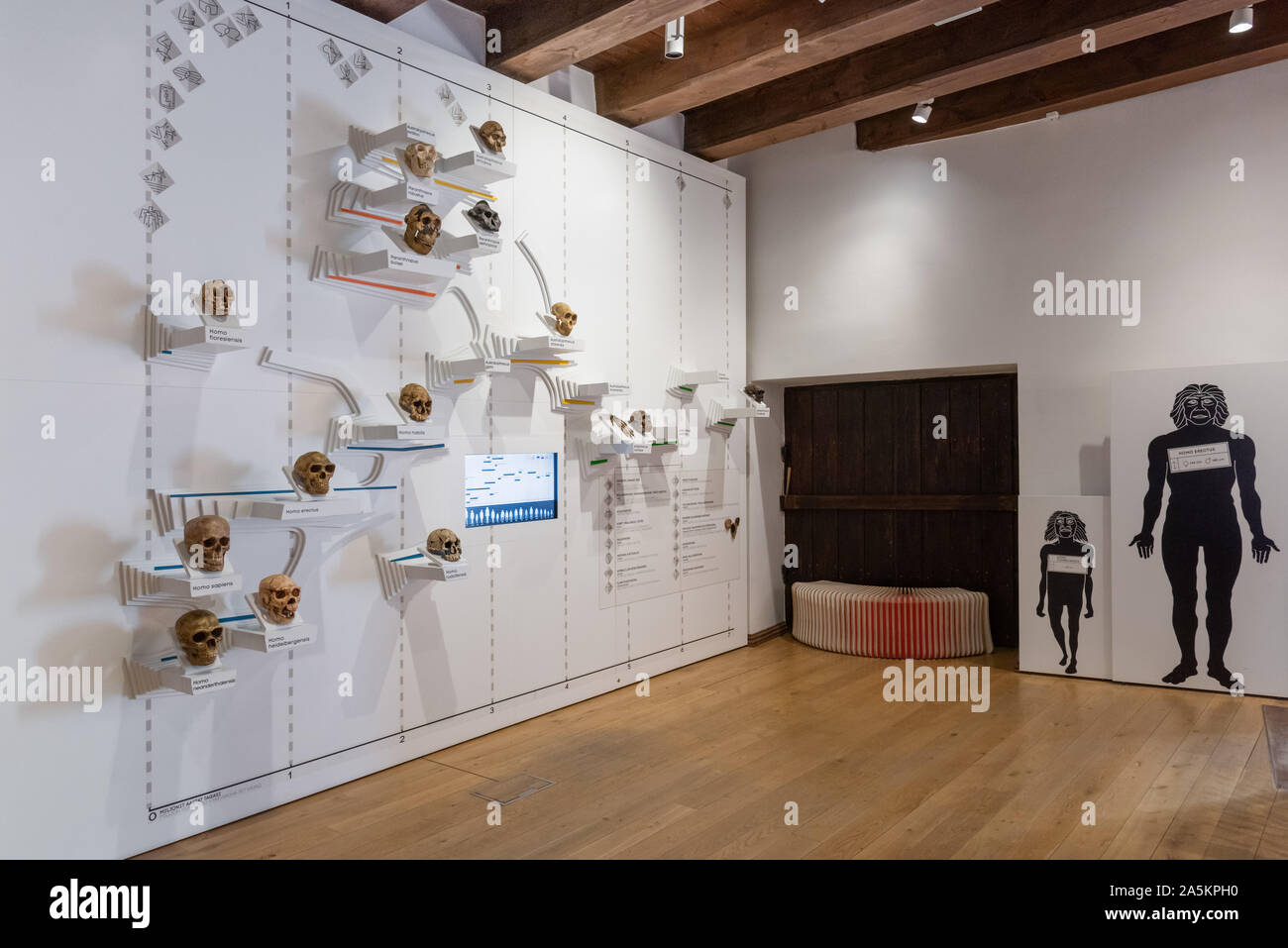 Estone di Health Care Museum, Tallinn, Estonia Foto Stock