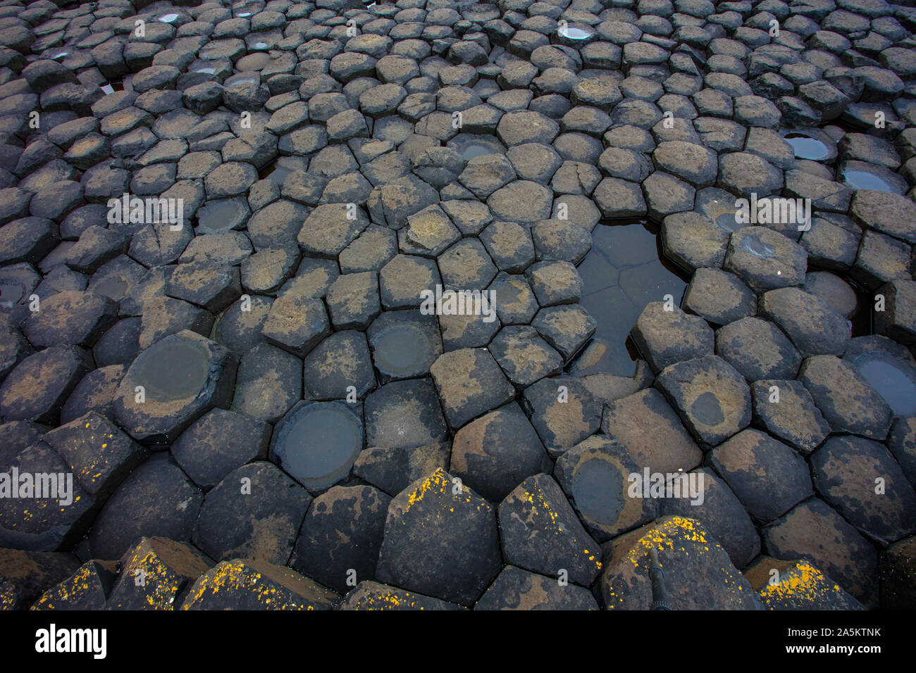 Giant's Causeway, basalto colonnare colonne, risultato di una antica fessura vulcanica eruzione, Irlanda del Nord, Regno Unito, sito del Patrimonio Mondiale Foto Stock