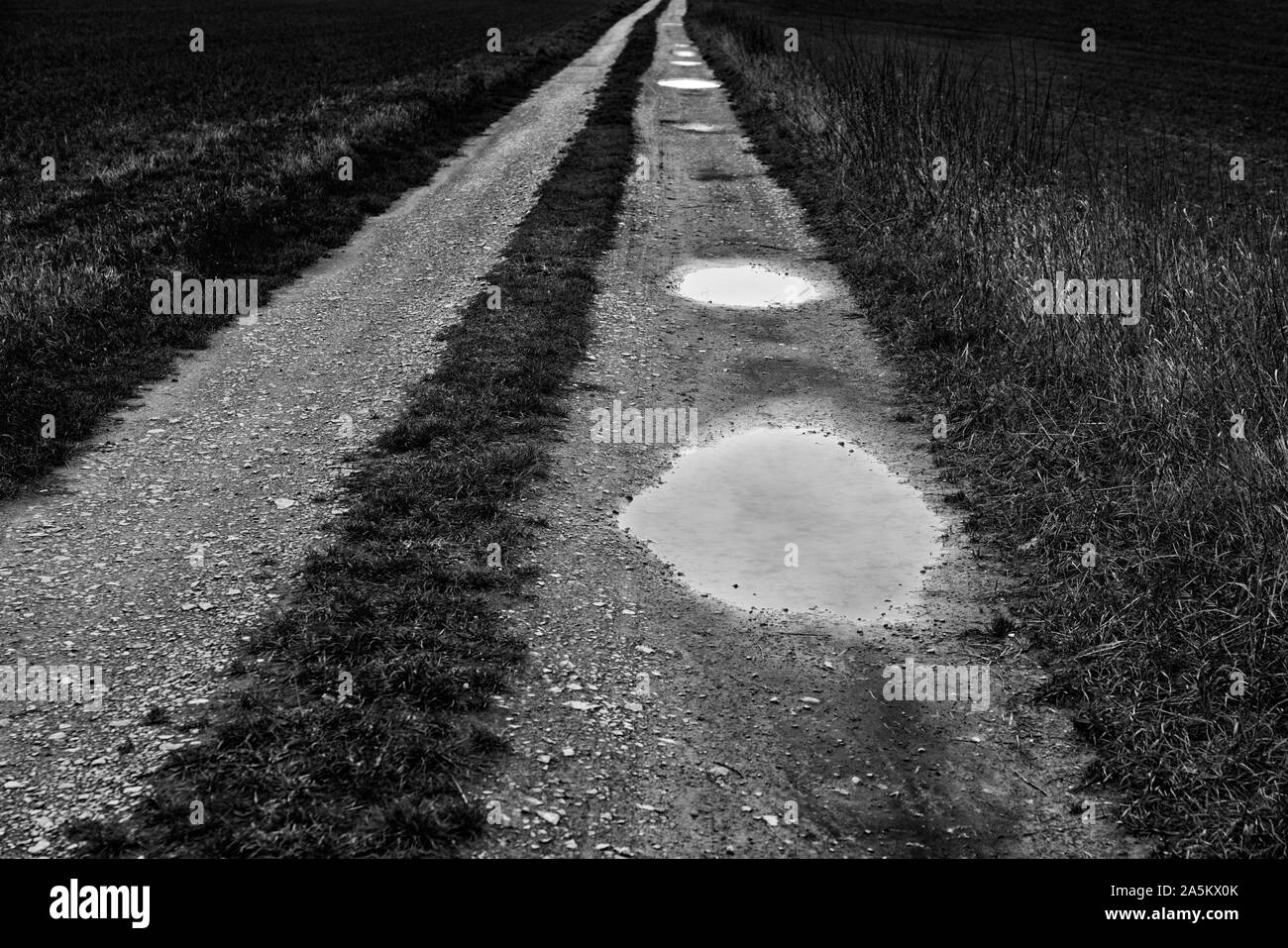 Un percorso con pozzanghere, Superiore Valle Weser, Weser Uplands, Weserbergland, Hesse, Germania Foto Stock