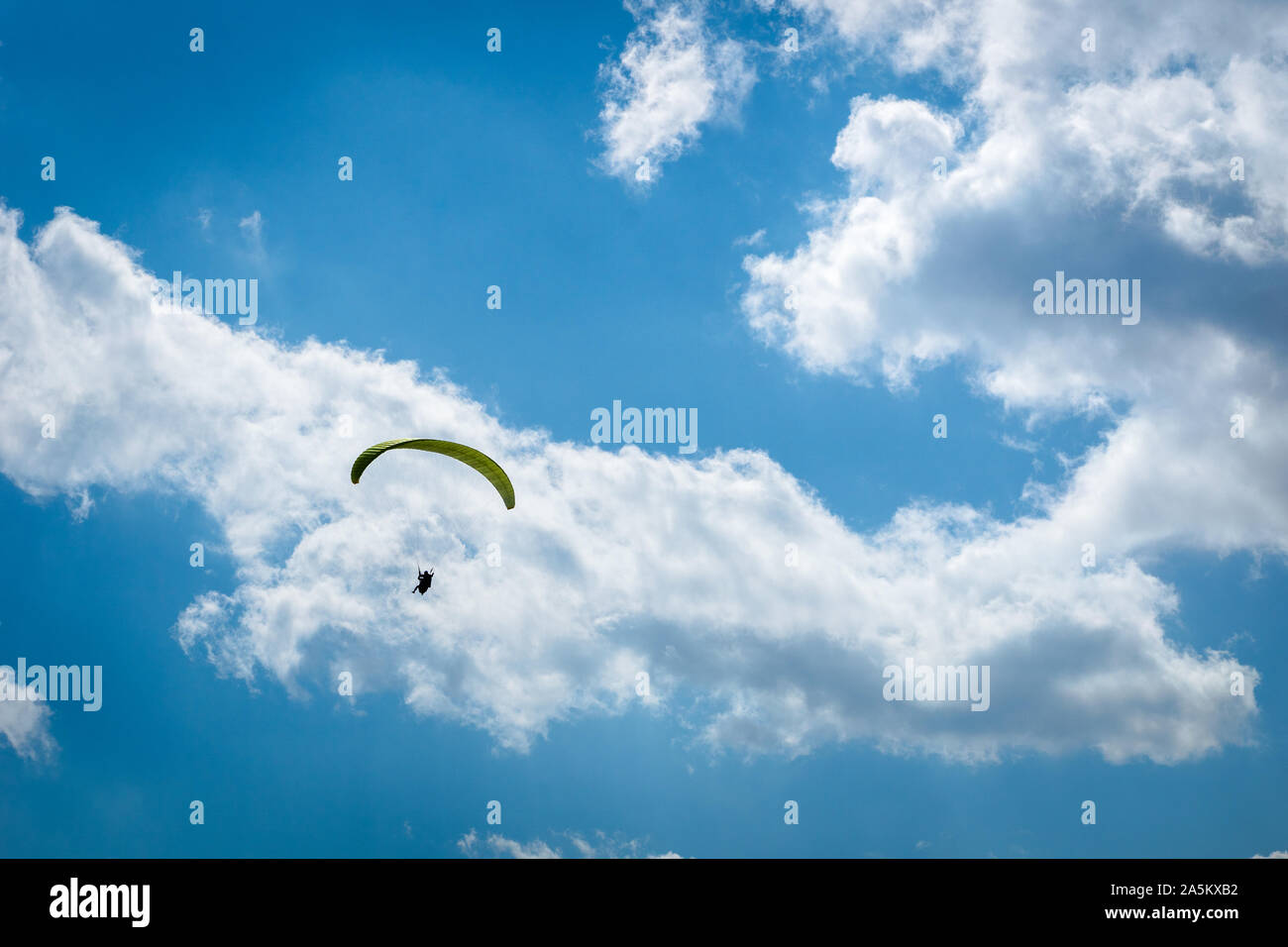 Parapendio parapendio oltre il cielo blu con nuvole bianche in estate Foto Stock