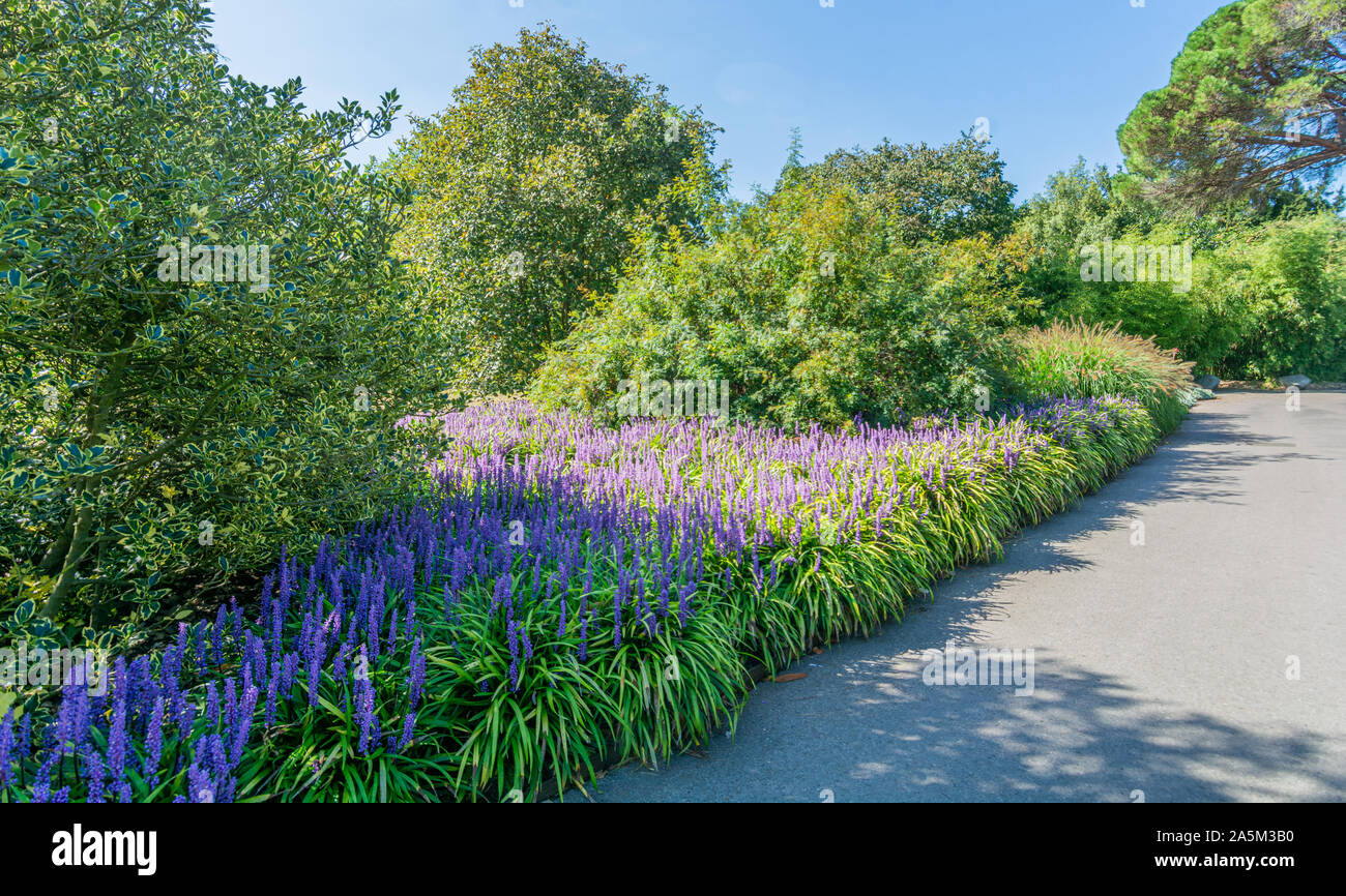 Giardino botanico di Londra. Foto Stock