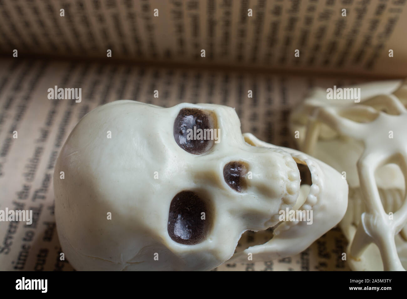 Modello di artificiale dello scheletro umano in un libro con testo Foto Stock