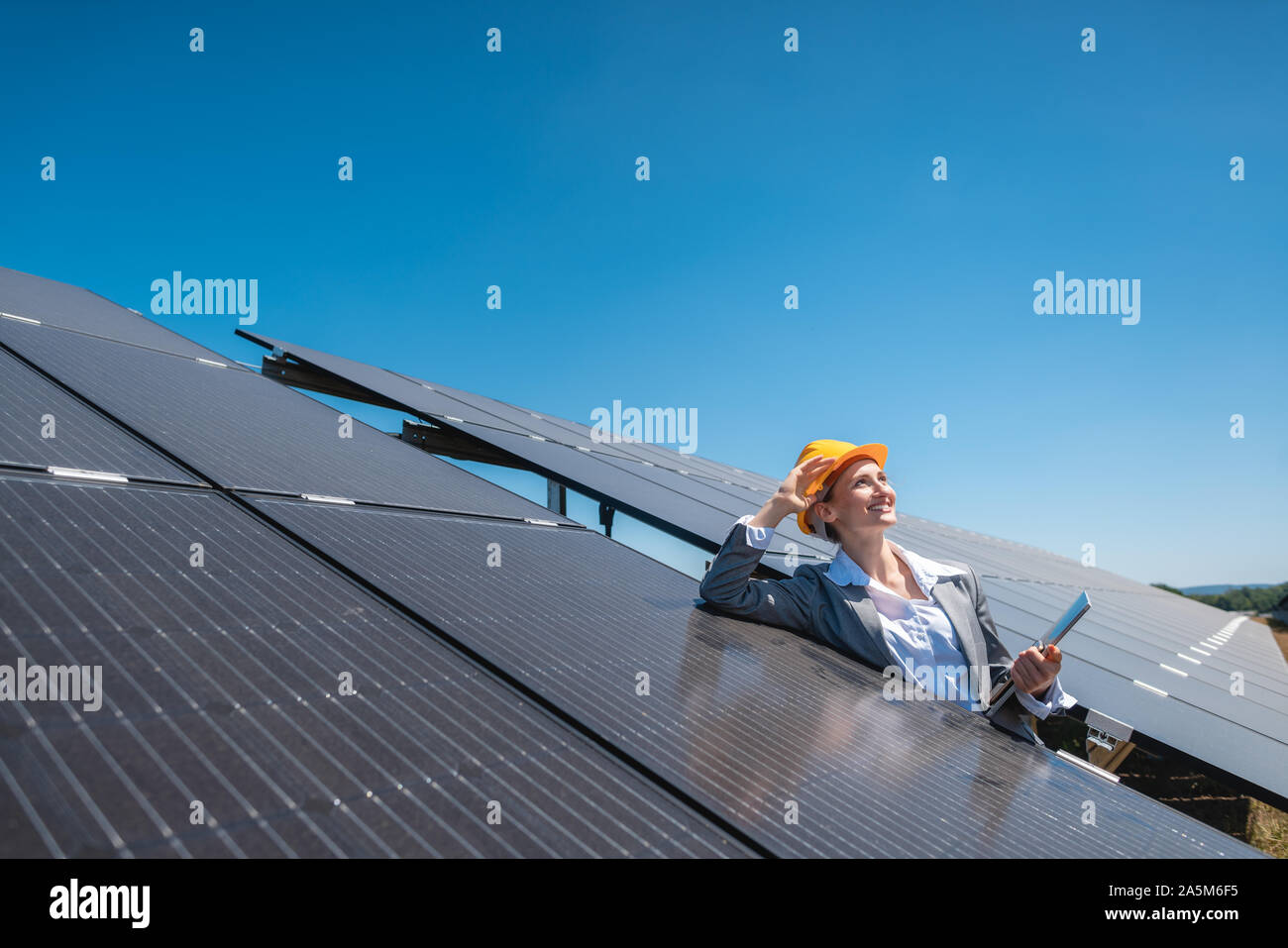 Business donna o investitore di ispezionare la sua fattoria solare Foto Stock