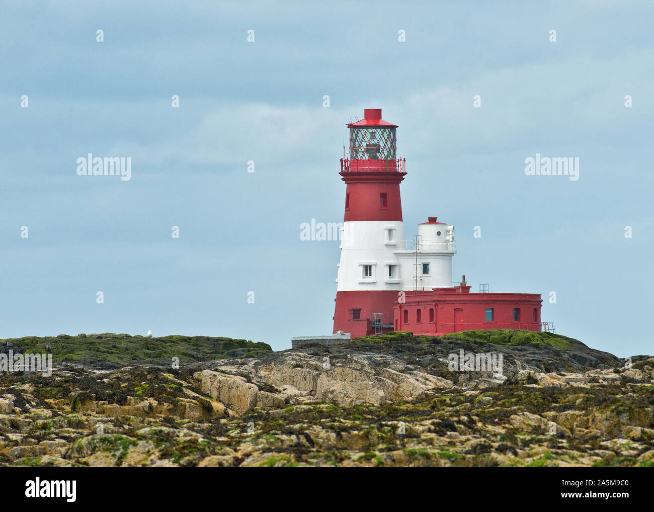 Faro di Longstone. Farne esterna, farne isole, Nortumberland, REGNO UNITO Foto Stock