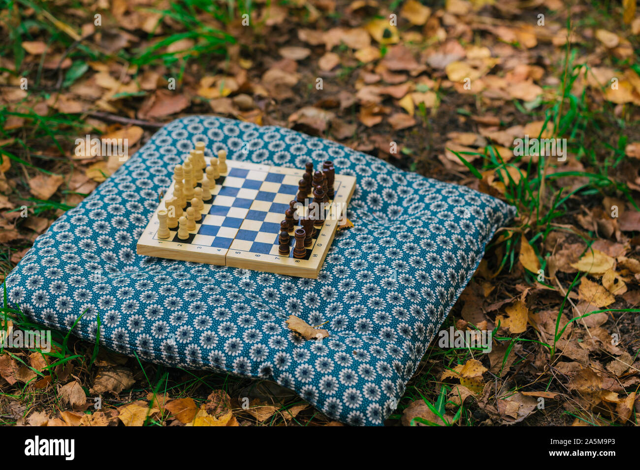 Scacchiera in legno e pezzi di scacchi su erba verde coperta a secco con foglie di giallo nel parco della città, tonica Foto Stock