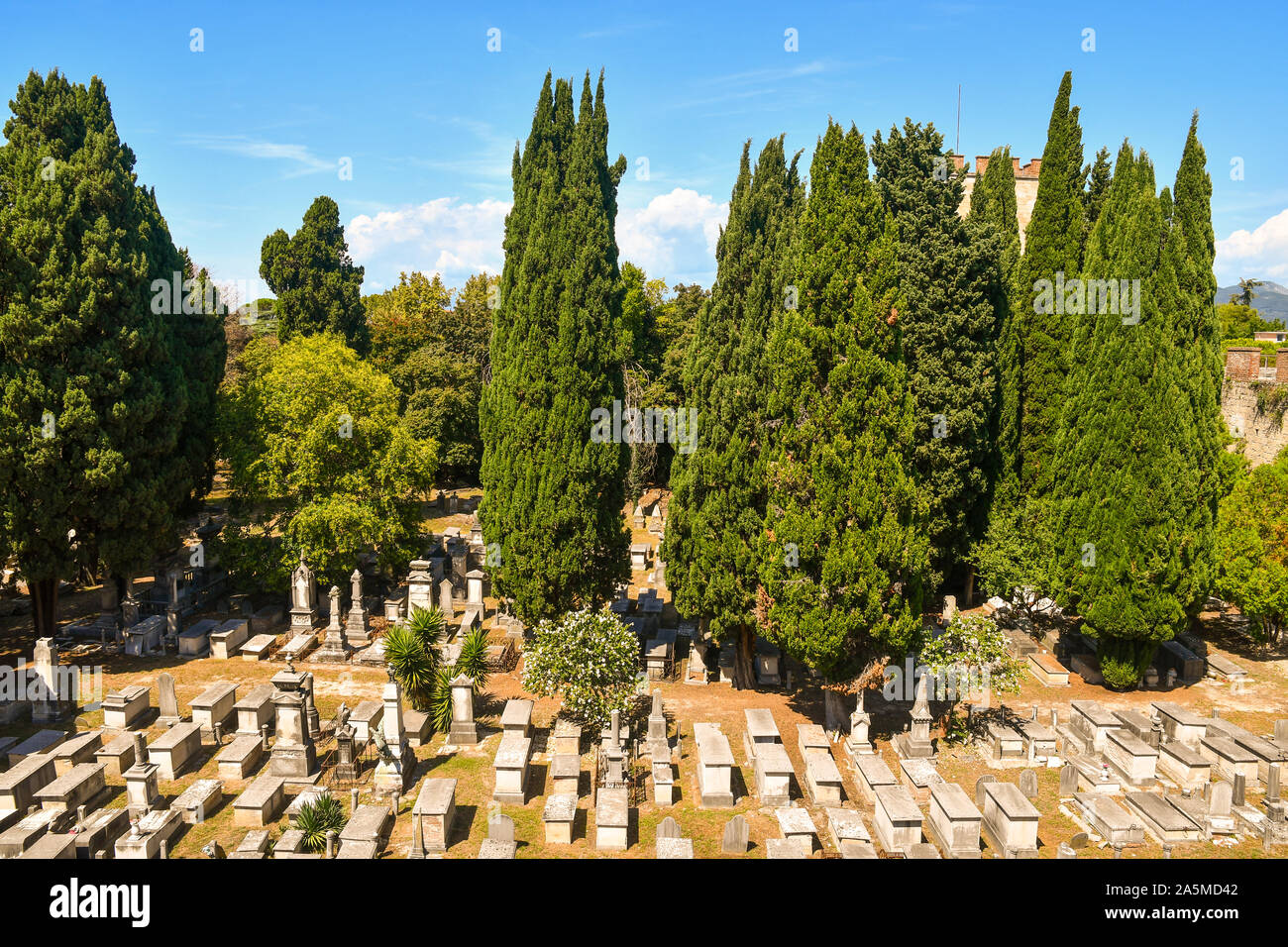 Elevato angolo di visione dell'antico cimitero ebraico della famosa città di Pisa con antiche tombe tra le verdi alberi in estate, Toscana, Italia Foto Stock