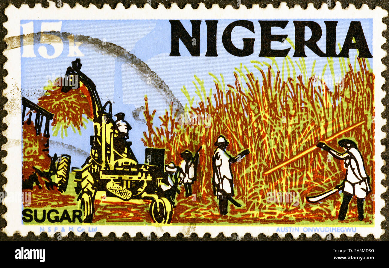 La canna da zucchero la mietitura sui francobolli della Nigeria Foto Stock