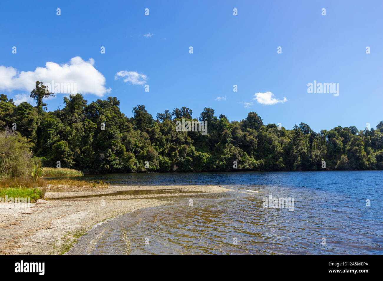 Vista di Okarito laguna, costa Ovest della Nuova Zelanda Foto Stock