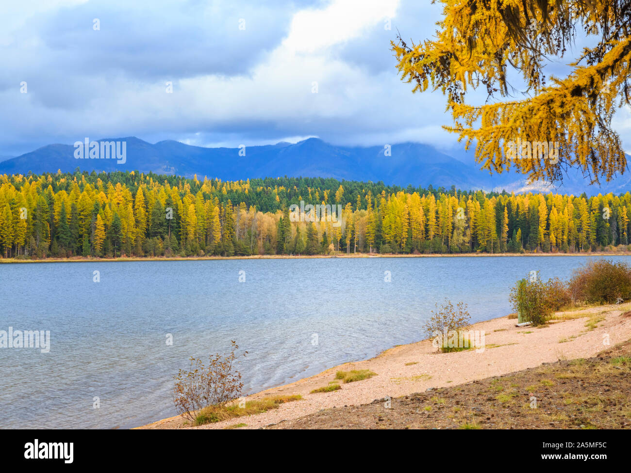 In autunno il larice lungo seeley lago al di sotto della gamma Swan a seeley lake, montana Foto Stock