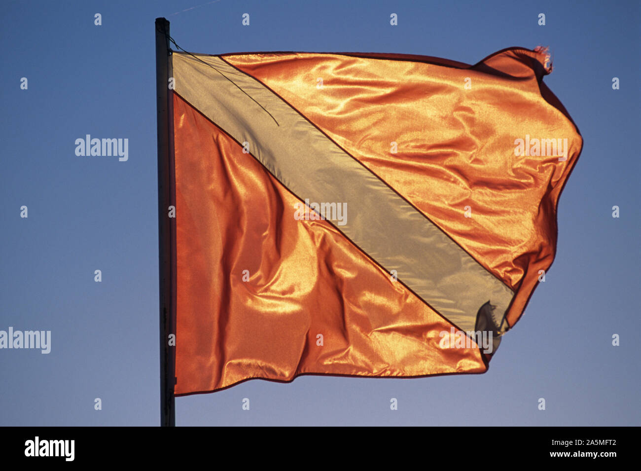 Diving,subacqueo, subacquea, attività, acqua, superficie, attrezzature,profondità, immersioni,lavoro, sul mare oceano, sport, umano, Foto Stock