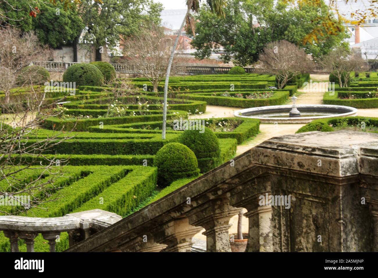 Lisbona, Portogallo- Dicembre 28, 2017:arte topiaria da giardino nel giardino botanico di Ajuda in inverno a Lisbona, Portogallo Foto Stock