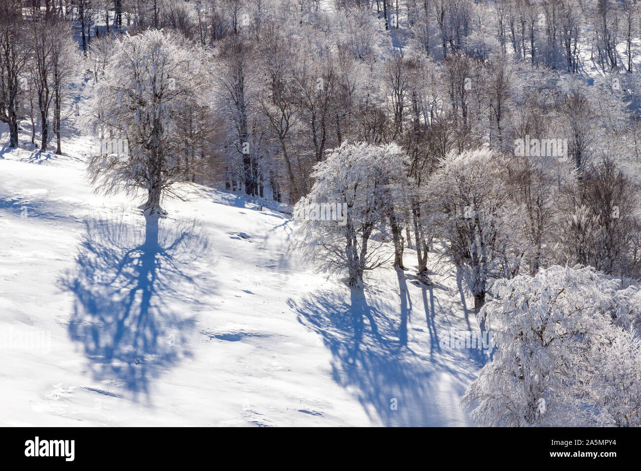 In Grecia, in inverno il tempo pieno di neve nella regione di Grevena, all'mountrains di Pindo, vicino a villaggi di Smixi, Vassilitsa e Samarina. Foto Stock