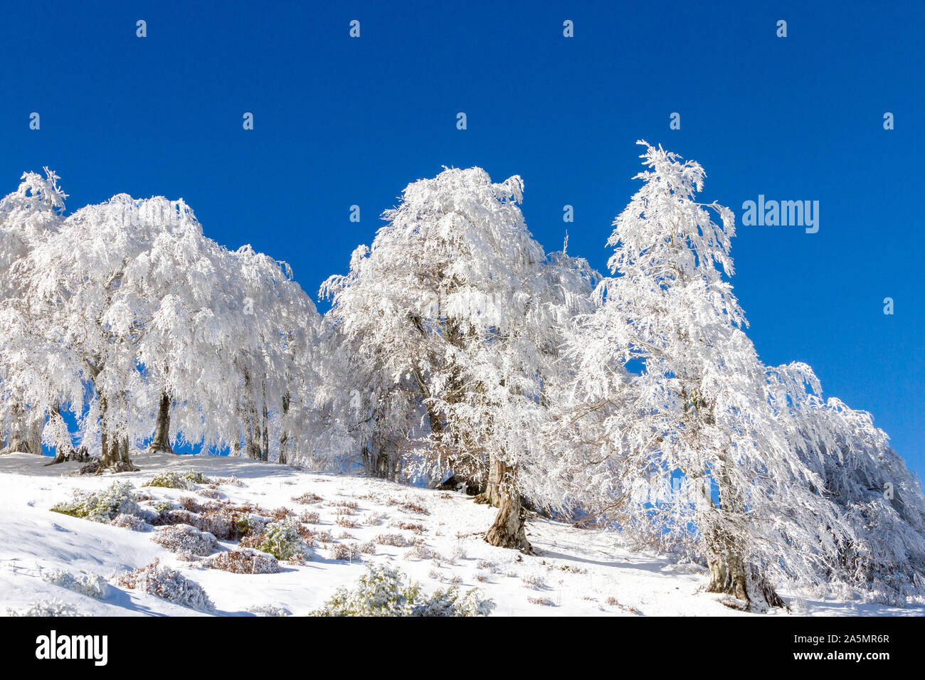 In Grecia, in inverno il tempo pieno di neve nella regione di Grevena, all'mountrains di Pindo, vicino a villaggi di Smixi, Vassilitsa e Samarina. Foto Stock
