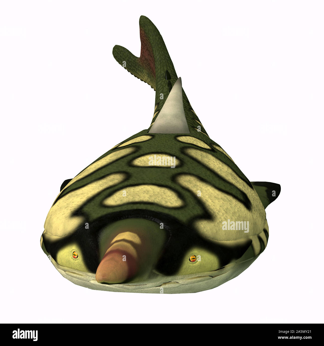 Pteraspis era un carnivoro pesci marini che era stato pesantemente corazzati e visse durante il periodo Devoniano. Foto Stock
