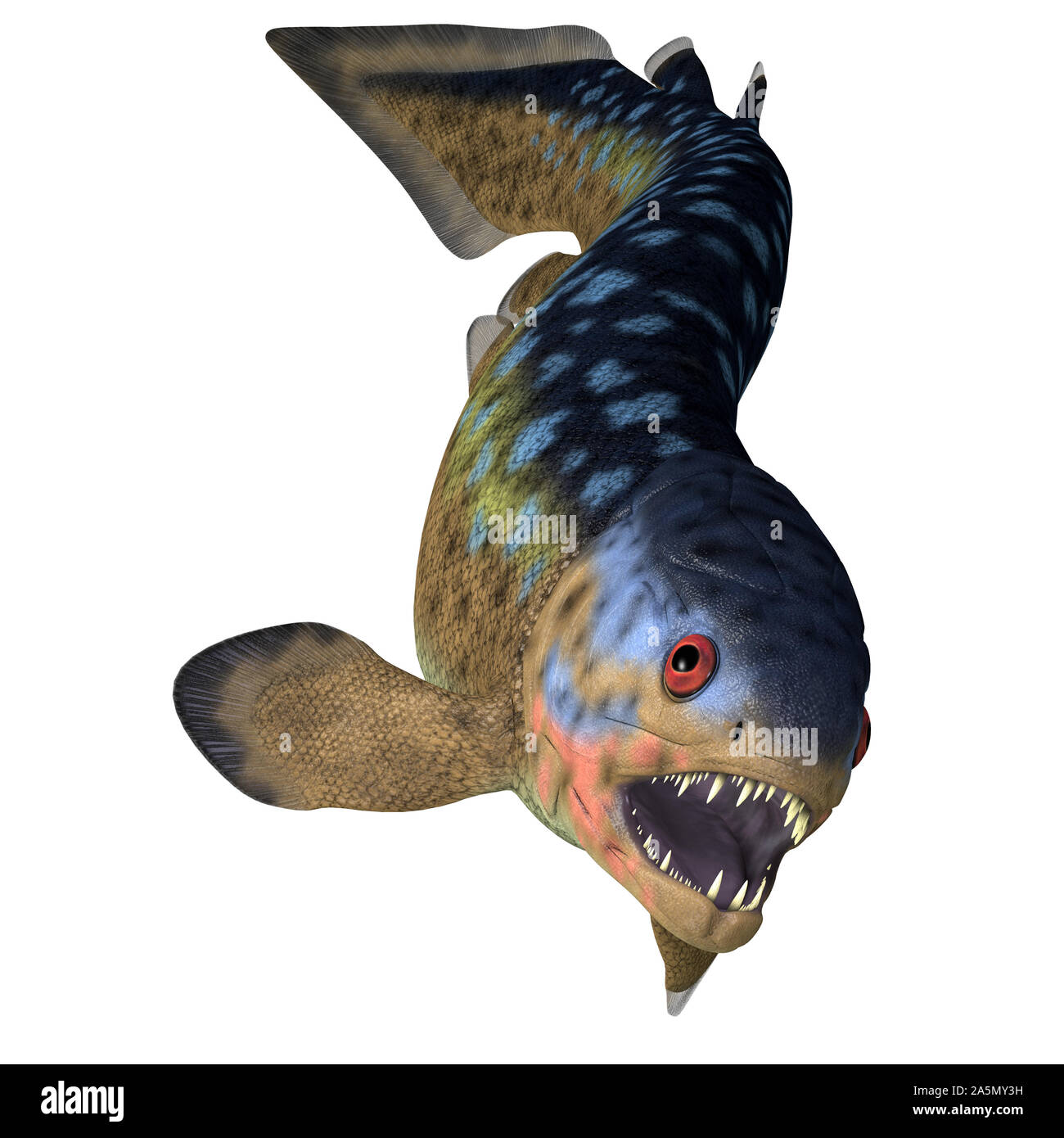 Rhizodus era un carnivoro pesci predatori che vivevano in acqua dolce durante il Devoniano carbonifero e periodi. Foto Stock