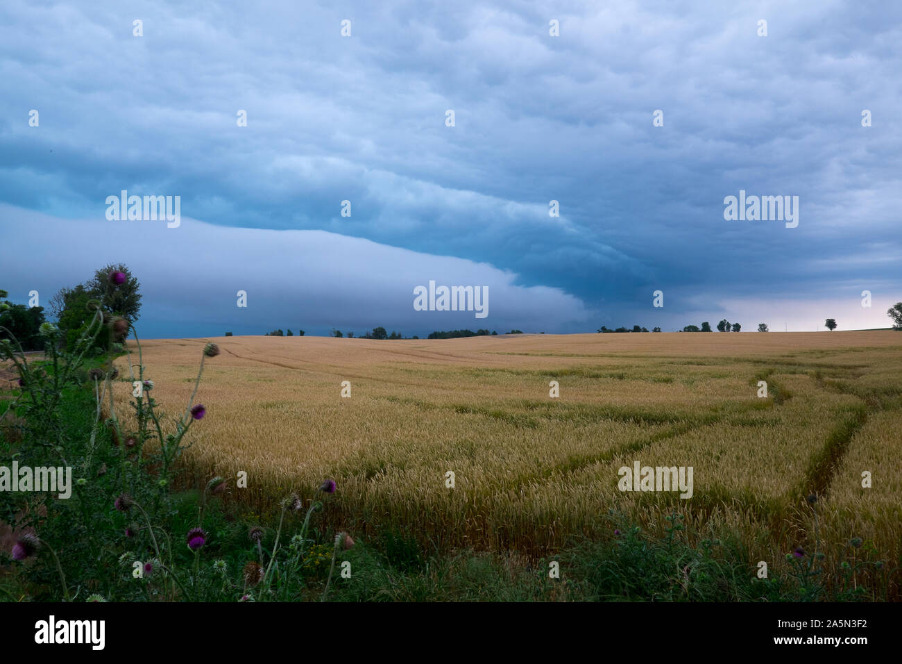 Avvicinandosi ai campi di fattoria, un fronte di tempesta si muove attraverso il paesaggio occidentale del Kentucky. Foto Stock