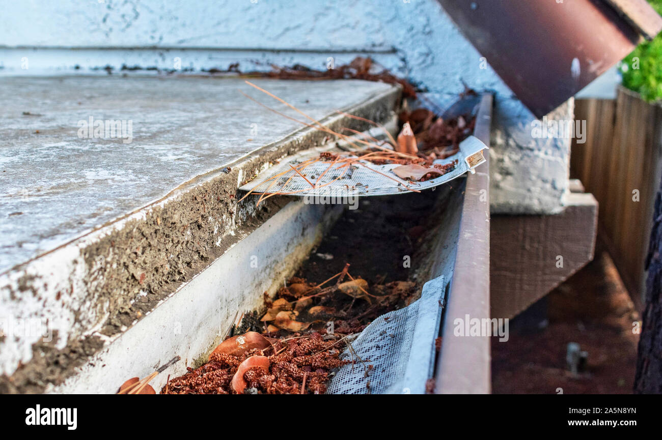 Gronda del tetto intasato con foglie, aghi di pino e di detriti. Danneggiato in materiale plastico di protezione di gronda e schermo di foglia. Pioggia di ispezione di gronda, pulizia e principali Foto Stock