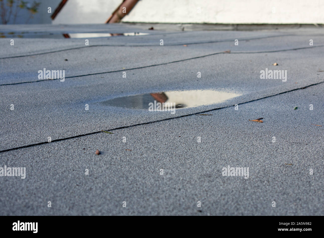 Ponding acqua piovana sul tetto piatto dopo la pioggia è la causa del problema di drenaggio. Perdita del tetto, sedimentazione o cedimenti. Foto Stock