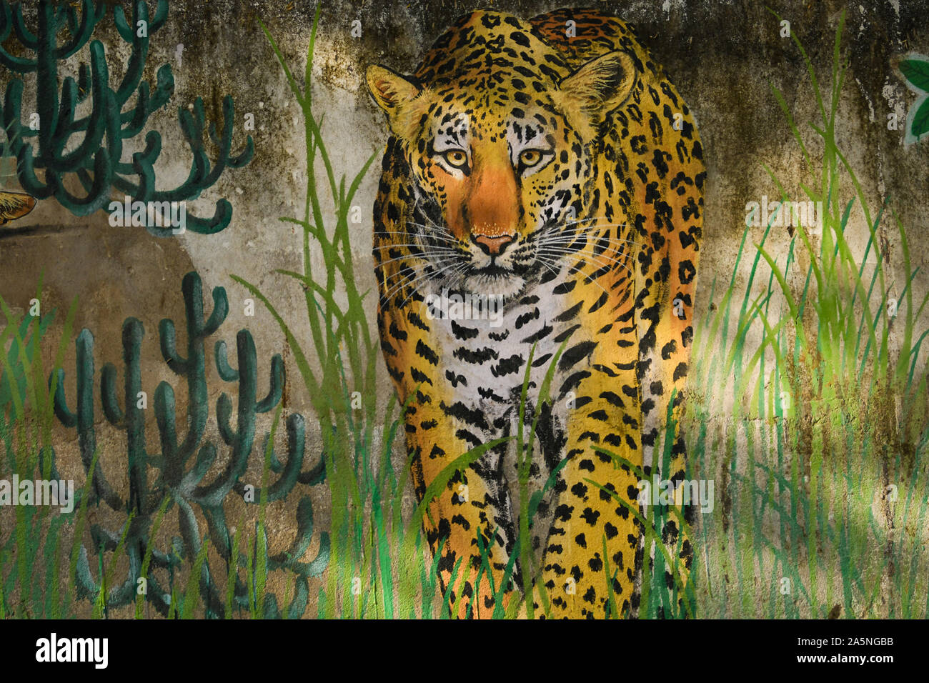 Jhalana riserva forestale, Jaipur, Rajasthan/India - 17 Ottobre 2019 - la bella testa di Leopard su graffiti da parte di un artista. Una parete concettuale o la street art Foto Stock