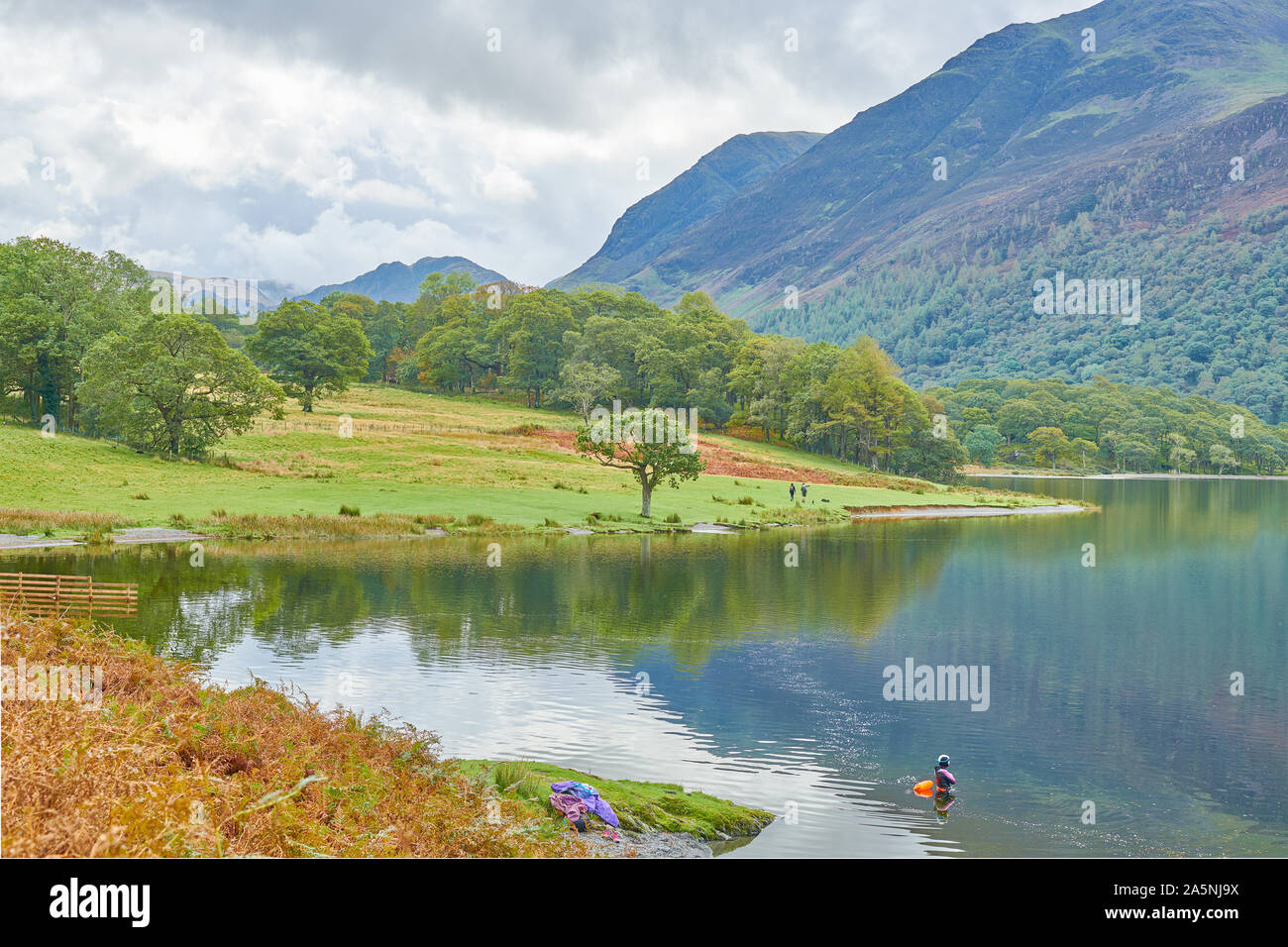 Un nuotatore solitario in un tipo di muta sorge su una calma, windless e giornata di sole a Crummock lago d acqua, Lake District, Cumbria, Inghilterra. Foto Stock