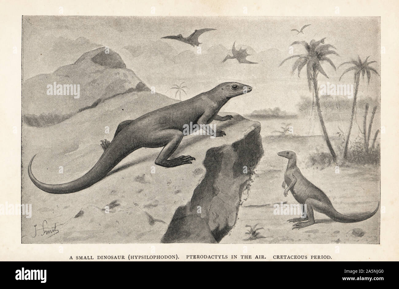 Un piccolo dinosauro, Hypsilophodon e Pterodactyls nell'aria. Dopo la stampa di un'immagine da Joseph Smit di Henry Neville Hutchinson di creature di altri giorni, popolare gli studi di paleontologia, Chapman e Hall, Londra, 1896. Foto Stock