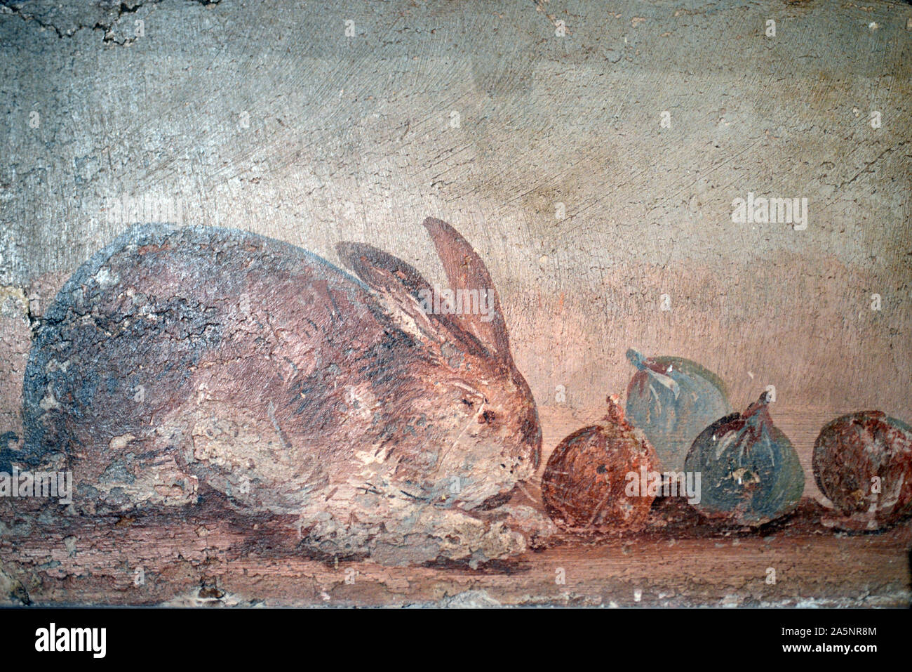 Ancora vita pittura murale o affresco di un coniglio mordicchiarci le figure da una casa di Pompei 40-79AD Italia Foto Stock