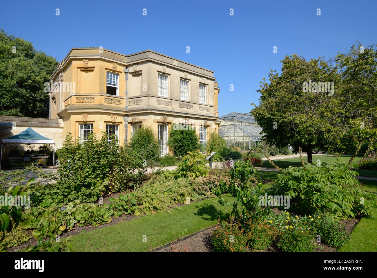 Università di Oxford giardino botanico o i Giardini Botanici& serra o di serra Oxford Inghilterra Foto Stock
