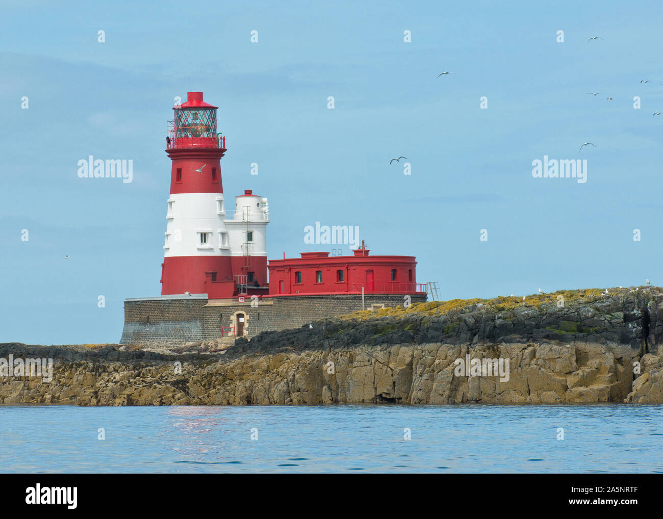 Faro di Longstone. Farne esterna, farne isole, Nortumberland, REGNO UNITO Foto Stock